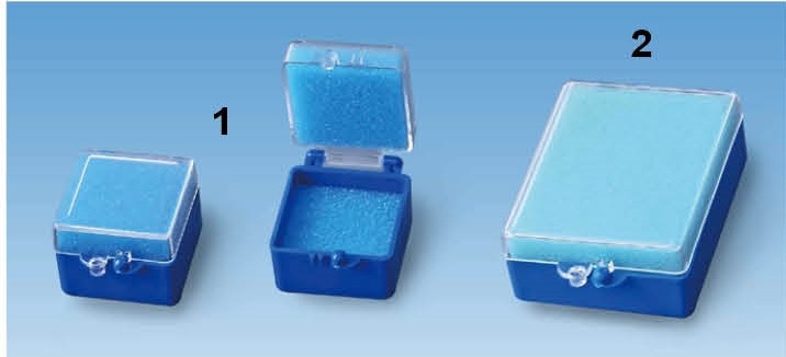 Plastic Tooth Box with Sponge